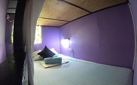Casa Isabel Hostel